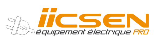logo-IICSEN